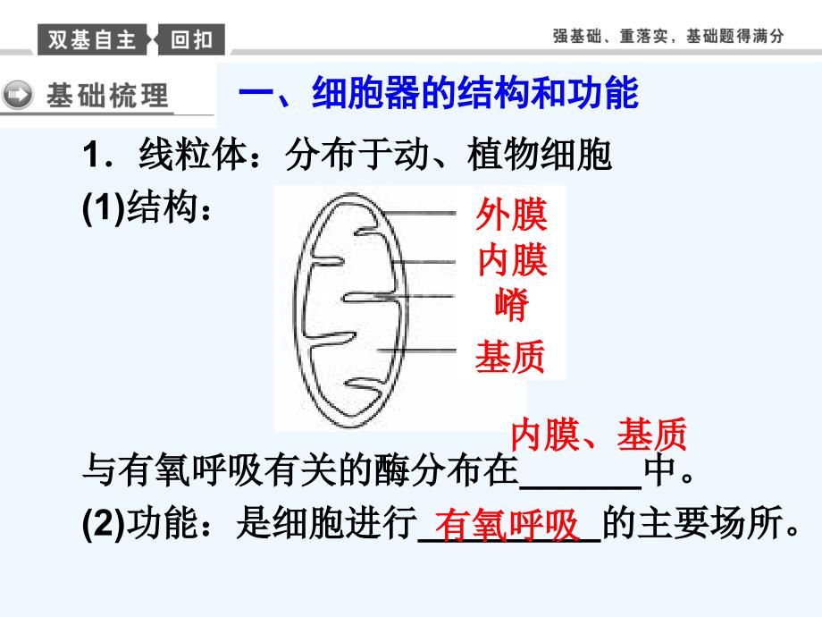 一轮复习：细胞器及生物膜系统_第1页