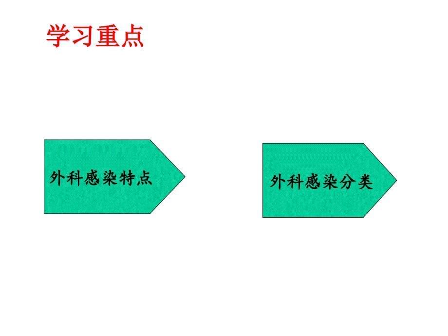 中职外科护理第三版课件第9章-外科感染患者护理_第5页