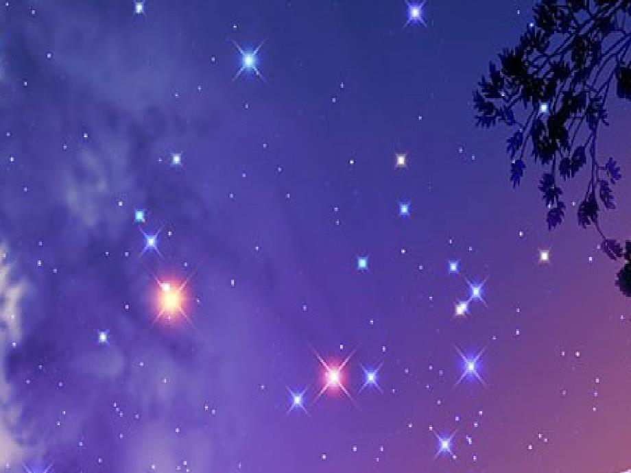 《数星星的孩子》PPT课件.ppt_第1页
