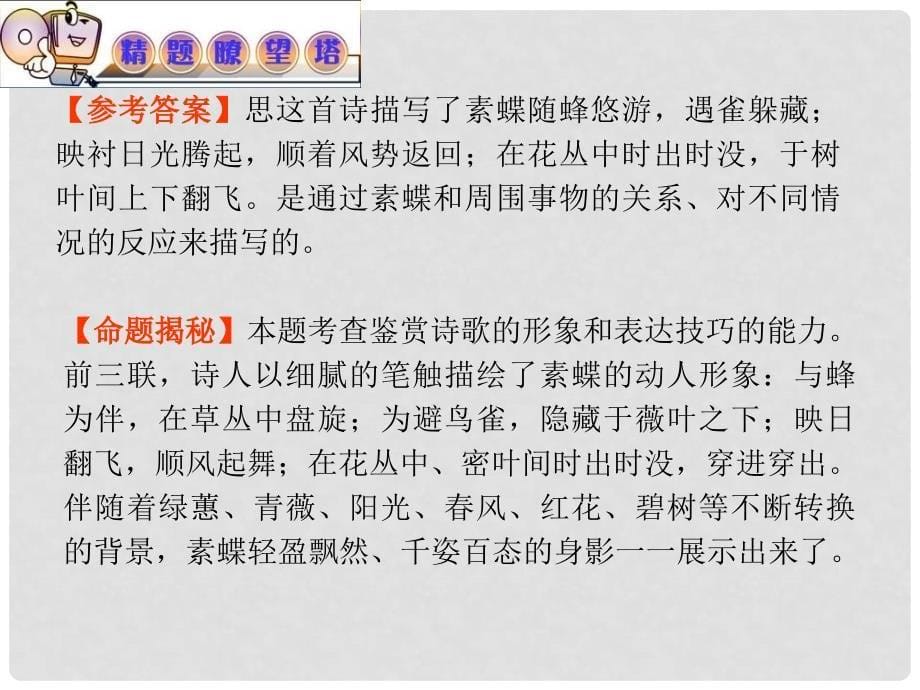 高考语文 专题复习课件17 新人教版_第5页