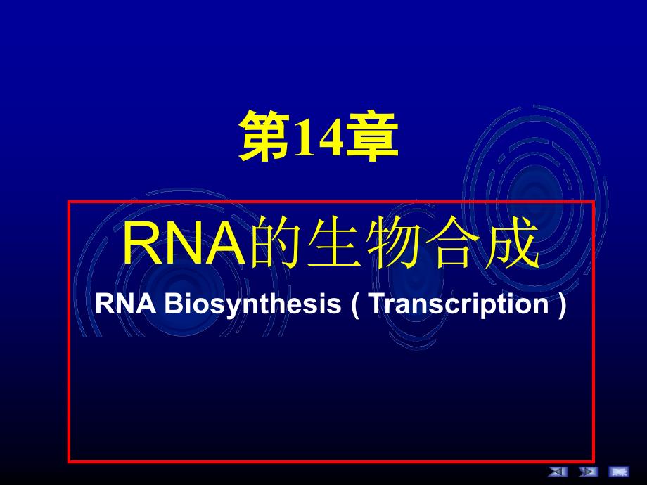 第十四章RNA的生物合成简明教程_第1页