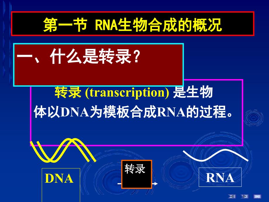 第十四章RNA的生物合成简明教程_第2页