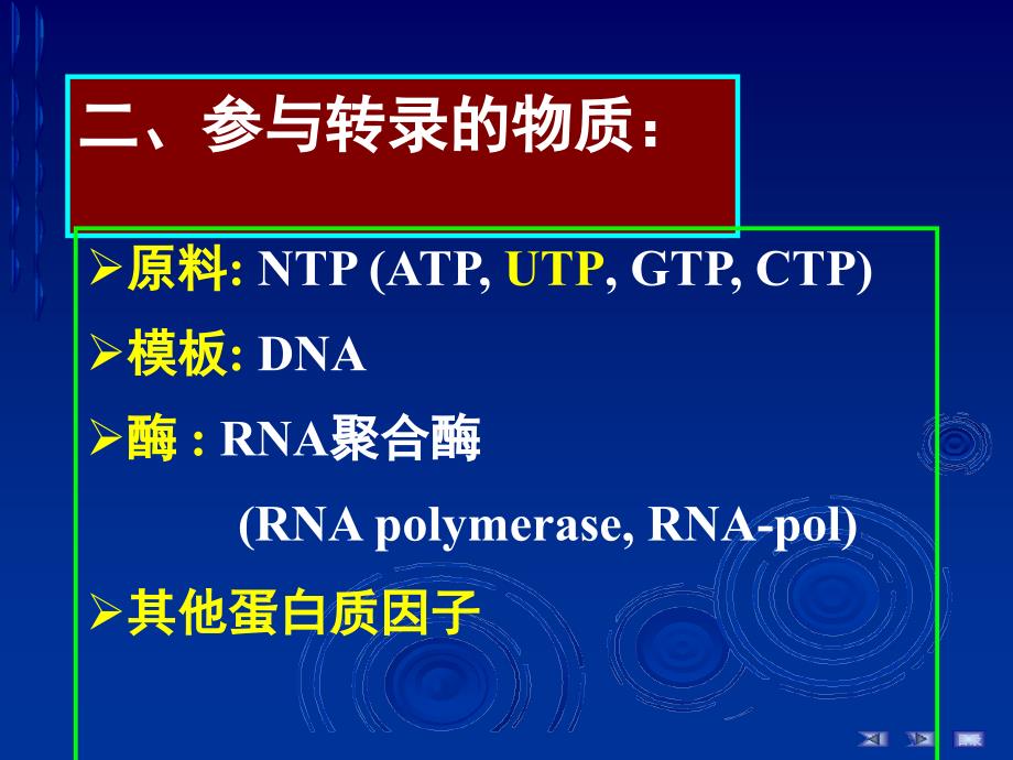 第十四章RNA的生物合成简明教程_第3页