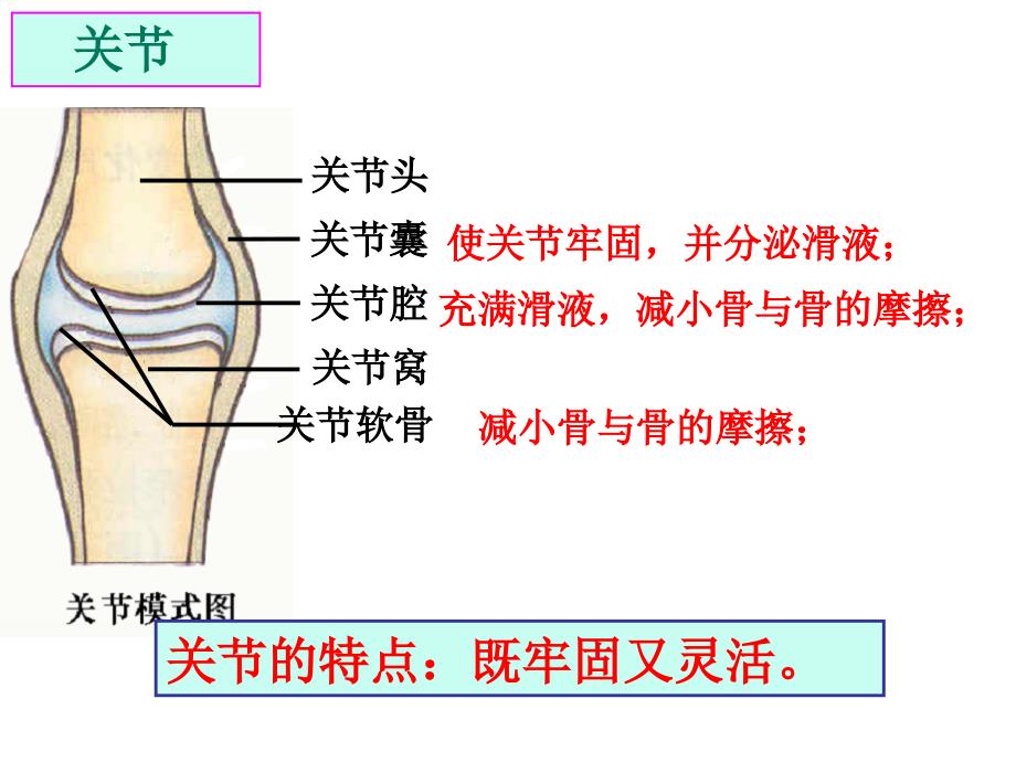 2、2、3运动概述_第4页