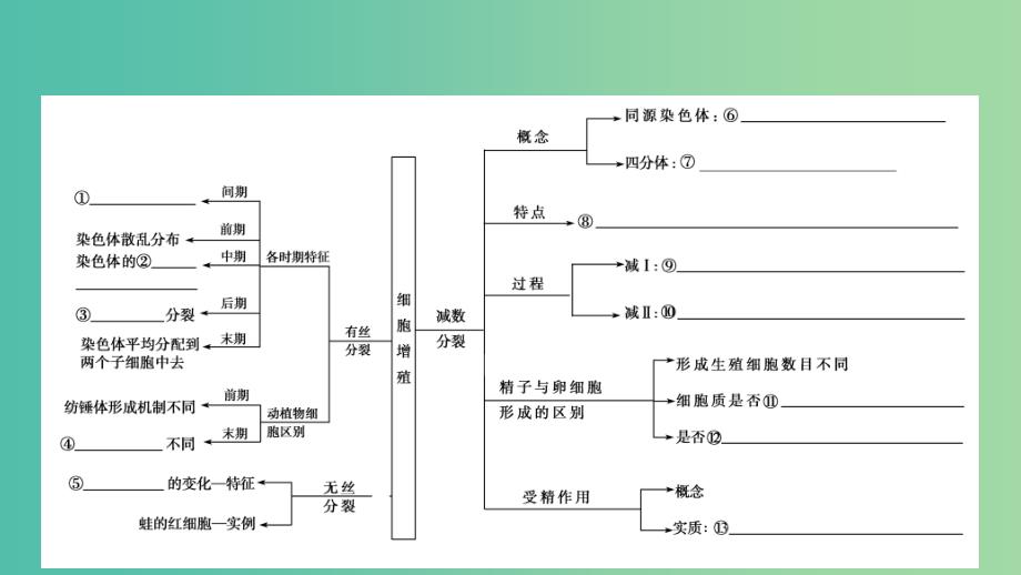 高考生物大二轮专题复习 专题三 细胞的生命历程 3.1 细胞的生命历程课件.ppt_第4页