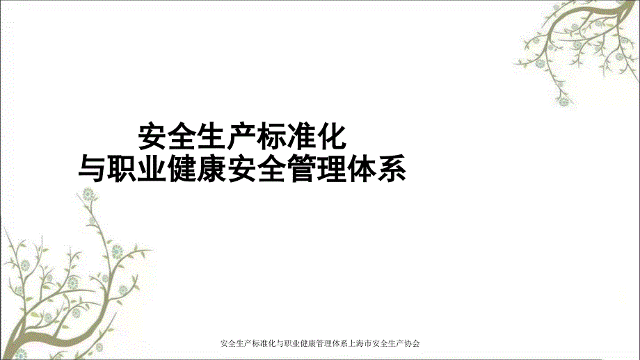 安全生产标准化与职业健康管理体系上海市安全生产协会PPT课件_第1页