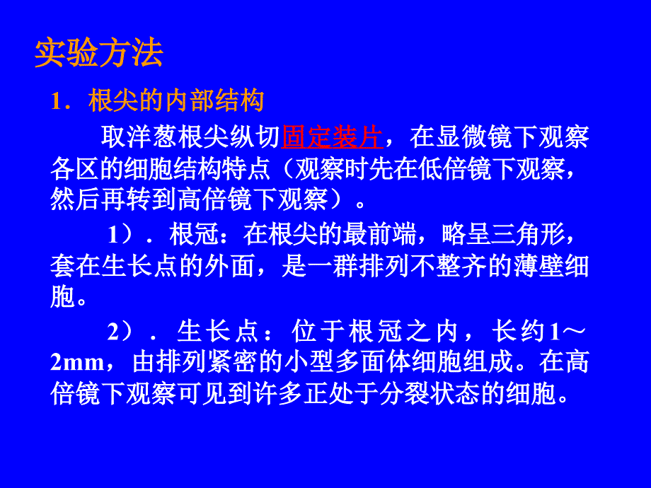 实验四 根的形态和结构_第4页