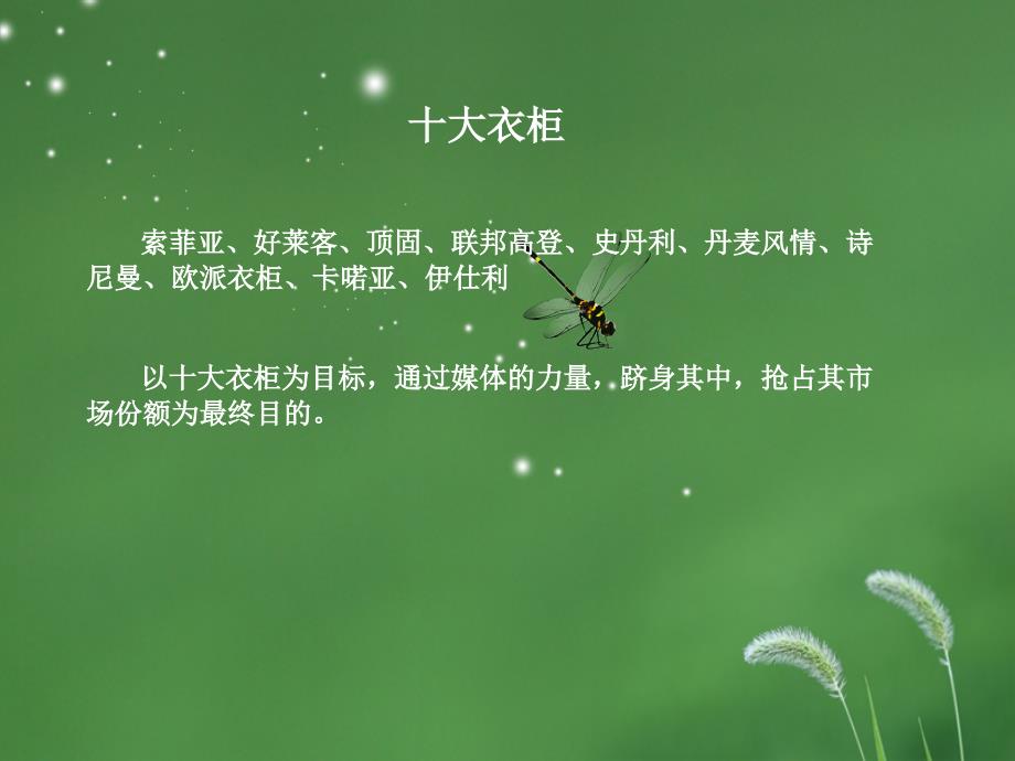 上尚-搜房网网络整合营销方案_第4页