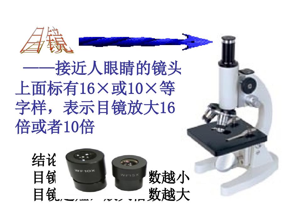 人教版七年级生物上册课件：练习使用显微镜（PPT）_第4页