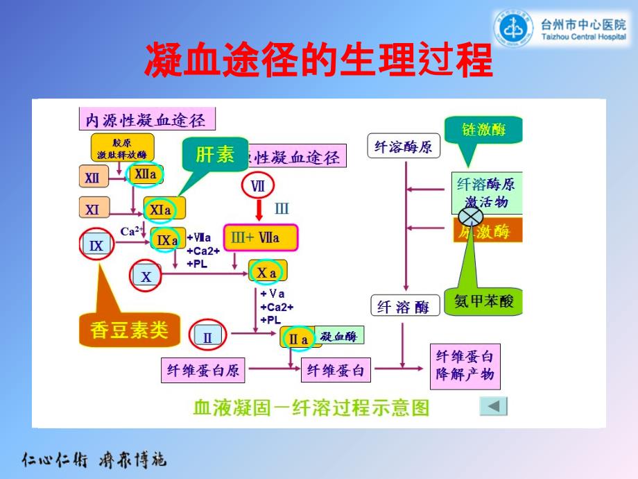 常见凝血功能异常的临床思维新_第2页