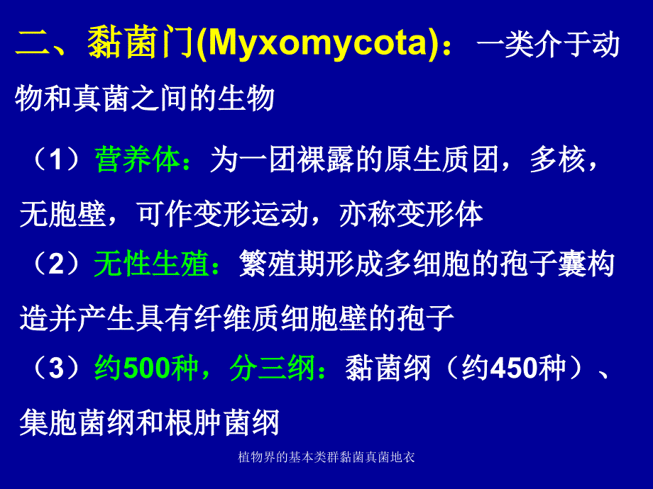 植物界的基本类群黏菌真菌地衣课件_第3页