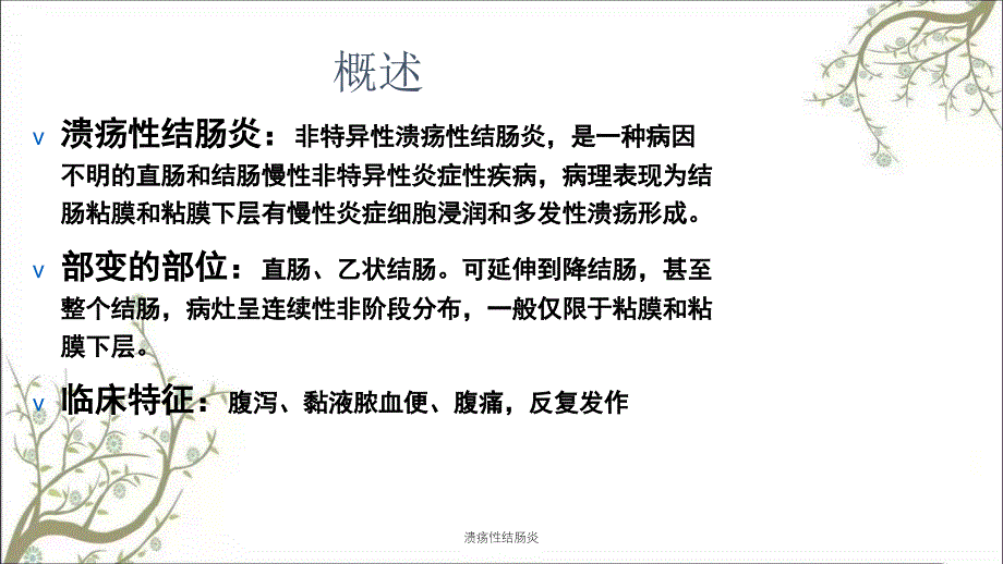 溃疡性结肠炎课件_第4页