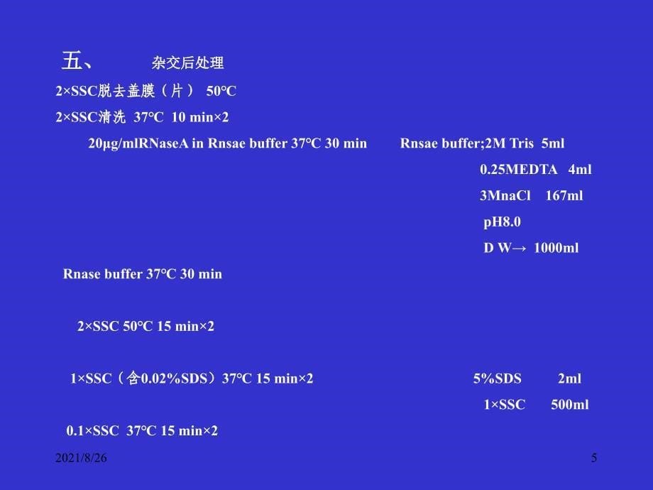 原位杂交操作流程课件PPT_第5页