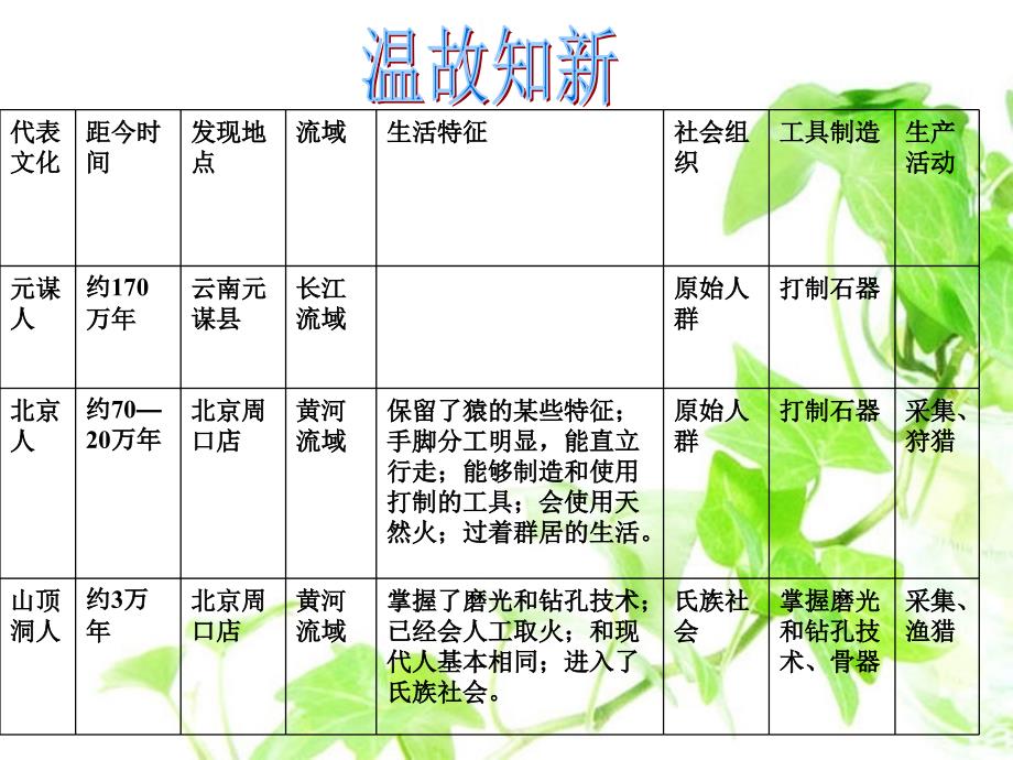 七年级历史原始的农耕生活课件(8)_第2页