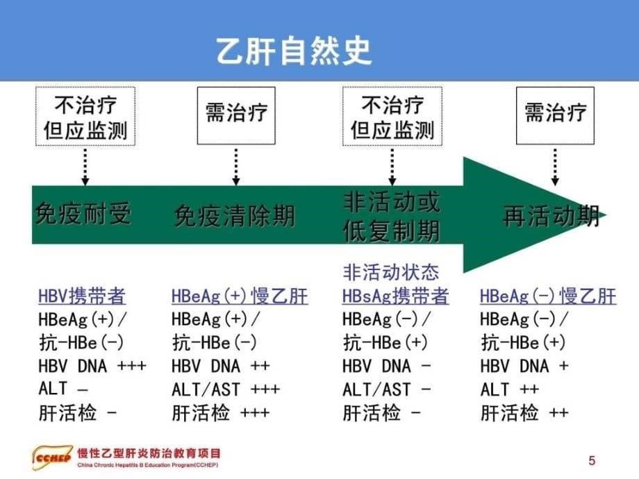 最新版慢性乙型肝炎防治指南解读_第5页