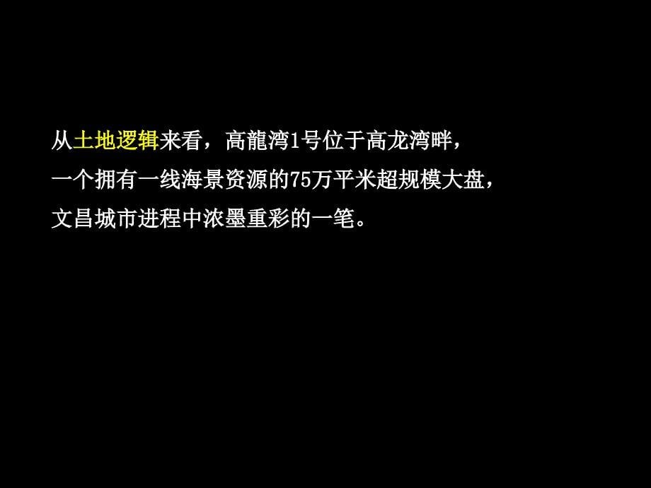 海南宏图高龍湾1号策略思考199p_第5页