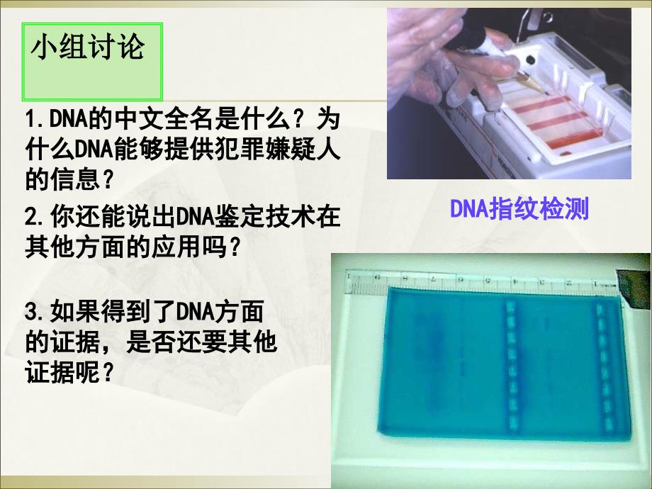 2.3遗传信息的携带者核酸叶银燕_第2页