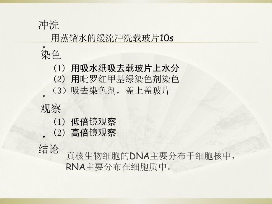 2.3遗传信息的携带者核酸叶银燕_第5页