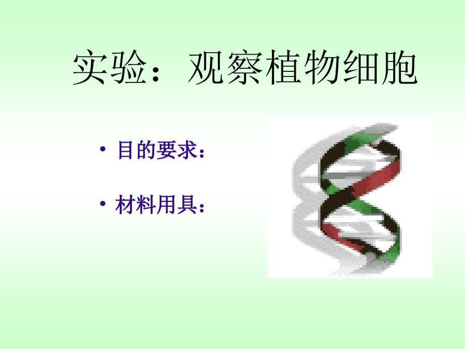 人教,七年级,上册,生物,课件 第二单元第一章第二节　观察植物细胞2_第5页