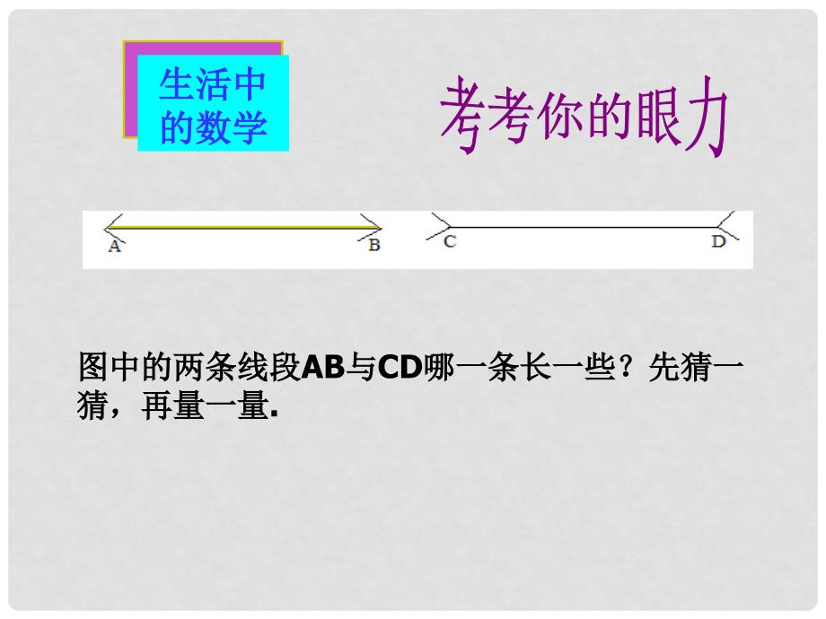 江苏省泗阳县卢集初级中学中考数学 11.1 你的判断对吗复习课件 苏科版_第4页