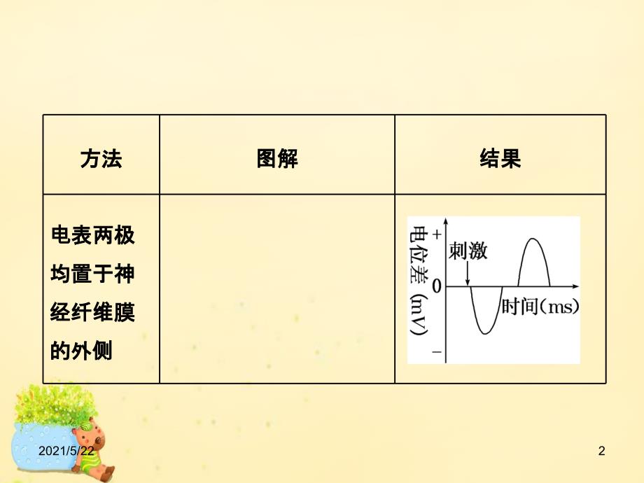 2017届高三生物一轮复习-电流表指针偏转问题与兴奋传导方向剖析_第2页