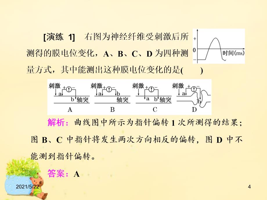 2017届高三生物一轮复习-电流表指针偏转问题与兴奋传导方向剖析_第4页