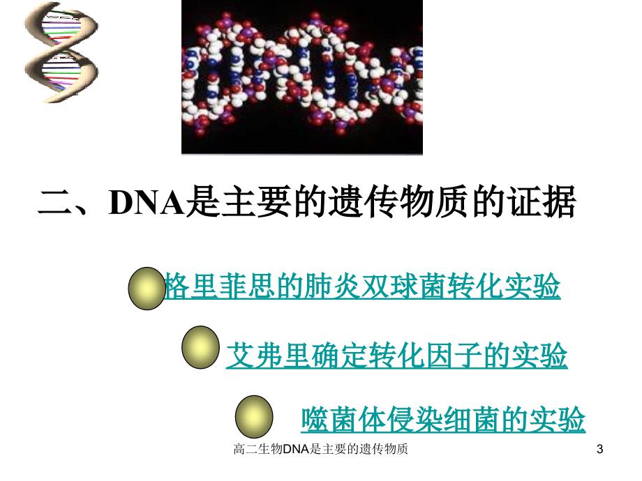 高二生物DNA是主要的遗传物质课件_第3页