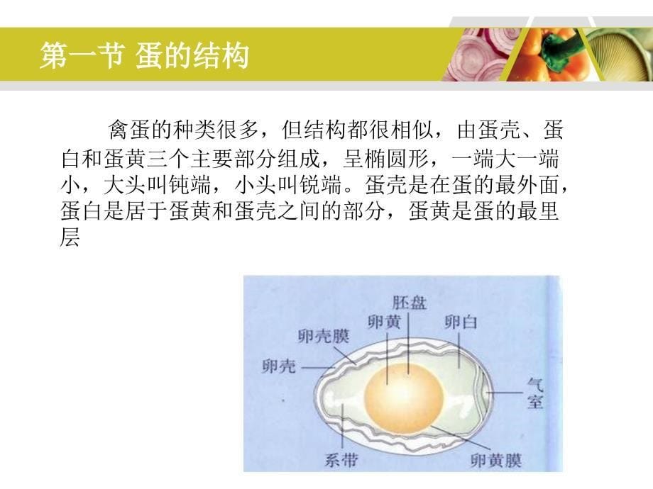 九章节禽蛋制品_第5页