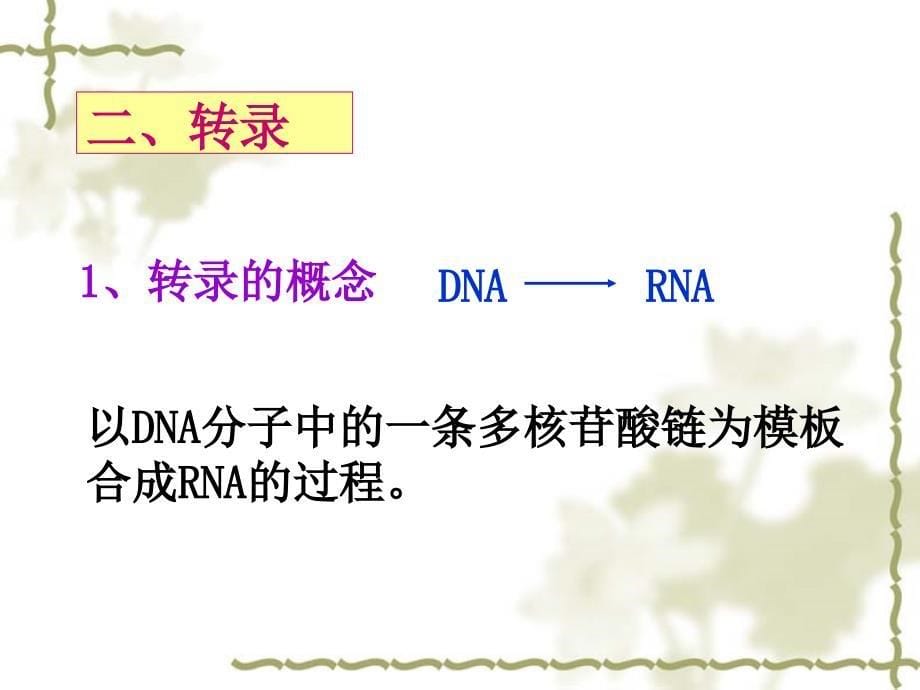 高中生物转录与翻译(gong).ppt_第5页