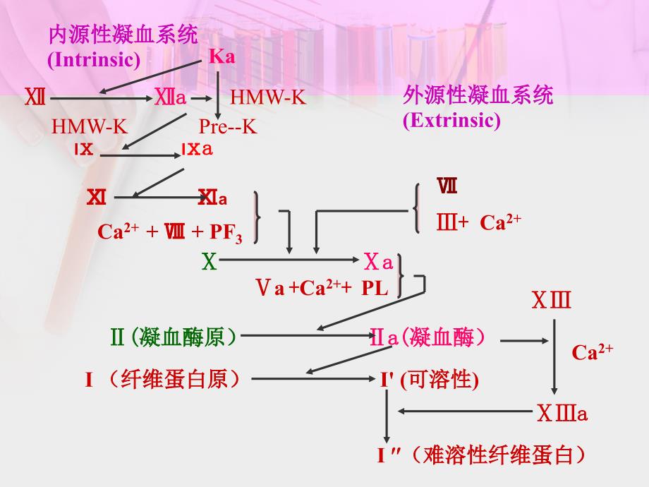 第23章--作用于血液与造血系统药物课件_第3页