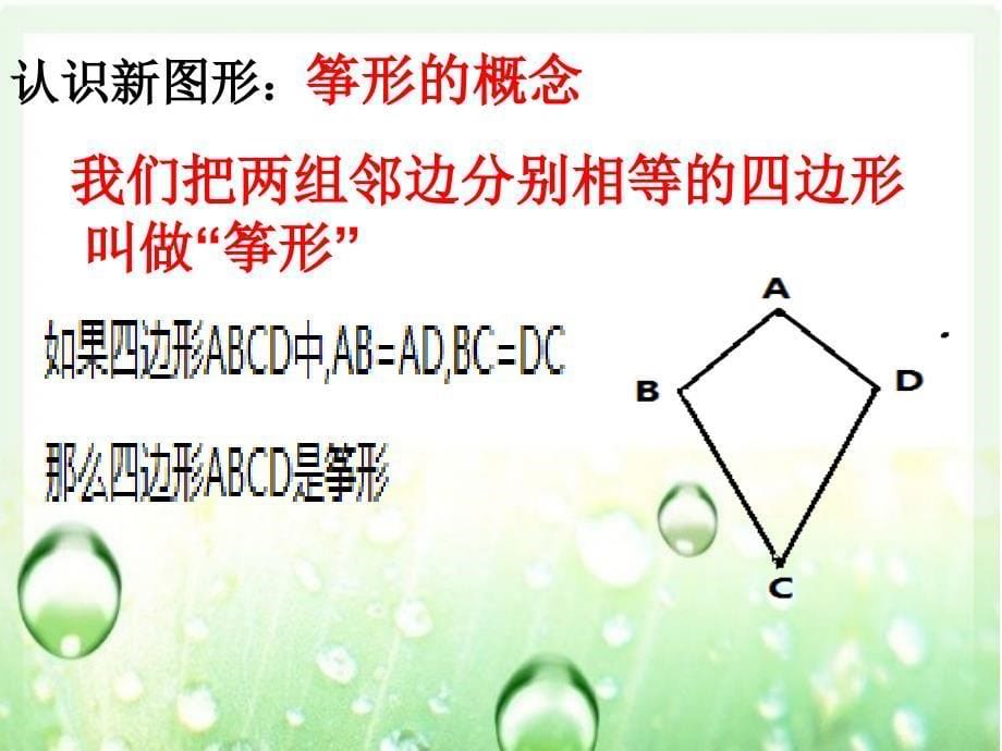 用全等三角形研究筝形修改(2)_第5页