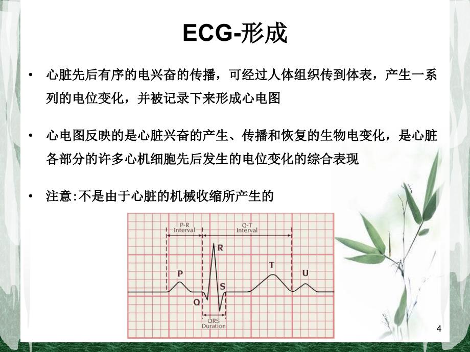 心电监护ppt课件_第4页