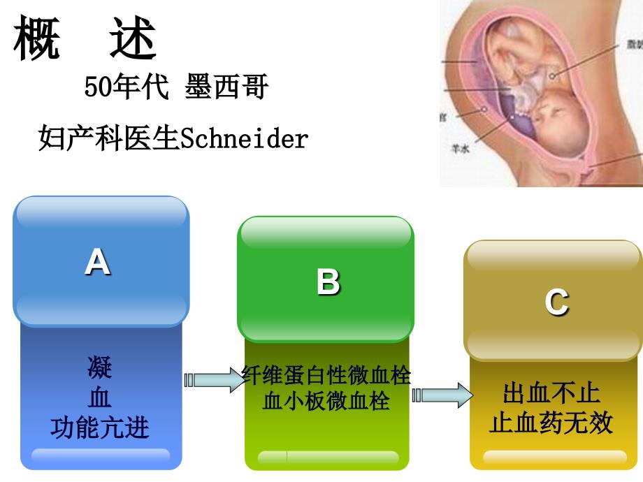 病理生理学课件：第14章 DIC弥散性血管内凝血.八版_第3页