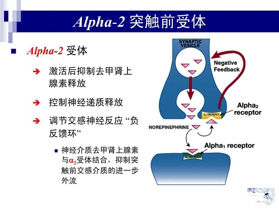 右美托咪啶的临床应用_第5页