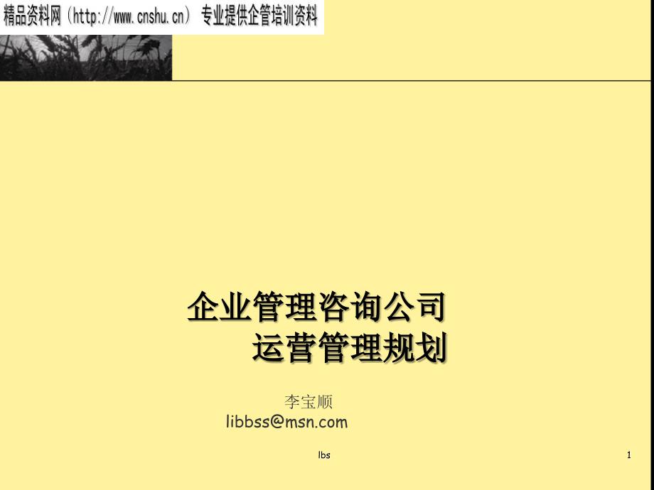 某公司运营管理规划_第1页