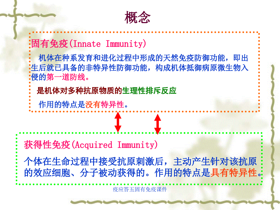 疫应答五固有免疫课件_第3页