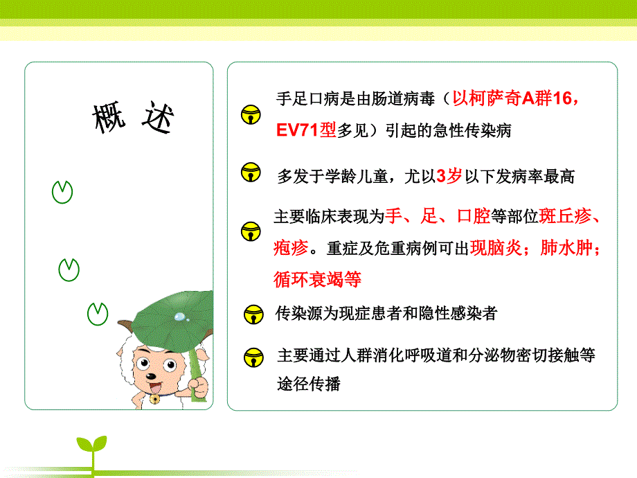 手足口病教学查房_第3页