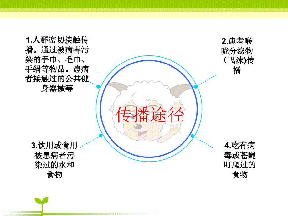 手足口病教学查房_第4页