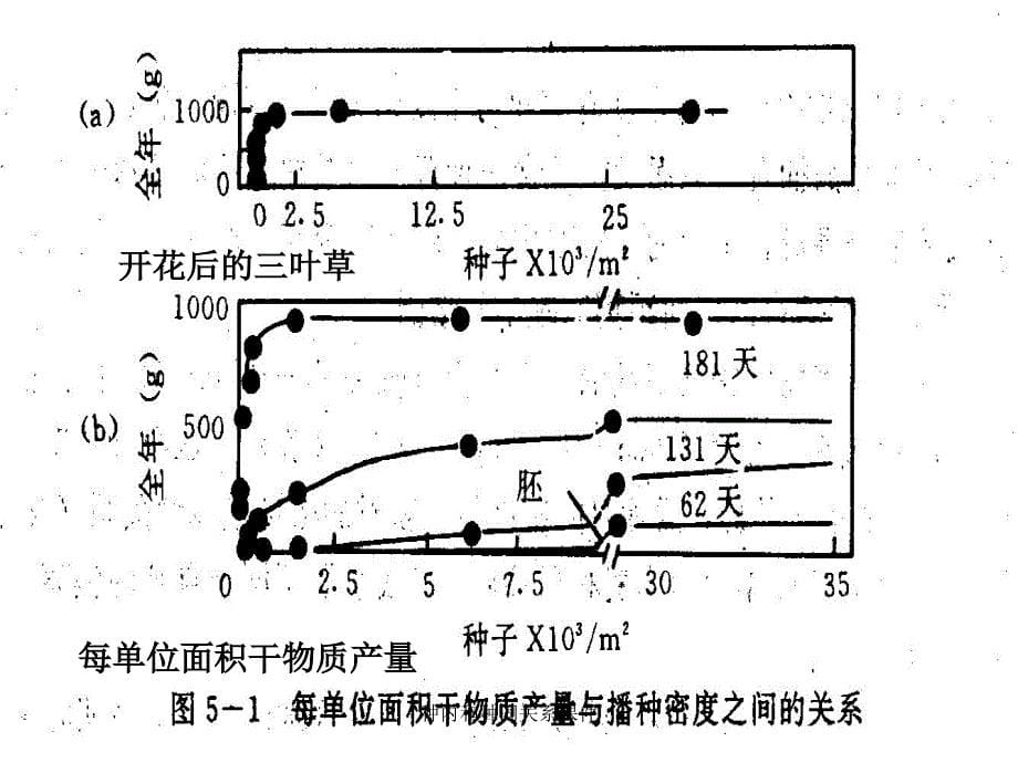 种内和种间关系课件_第5页