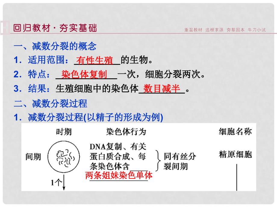 高考生物总复习 第五单元 第3讲 减数分裂和受精作用配套课件_第2页