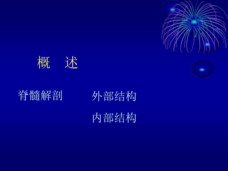 内科护理学神经系统疾病护理618文档资料_第4页