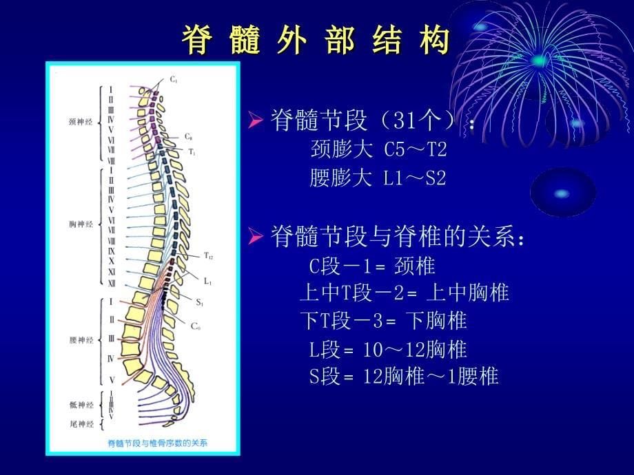 内科护理学神经系统疾病护理618文档资料_第5页