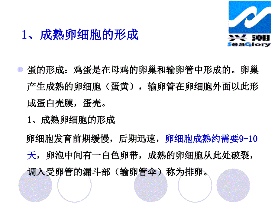 提高产蛋性能的专利产品(增蛋素)的综合应用(周海云)_第4页