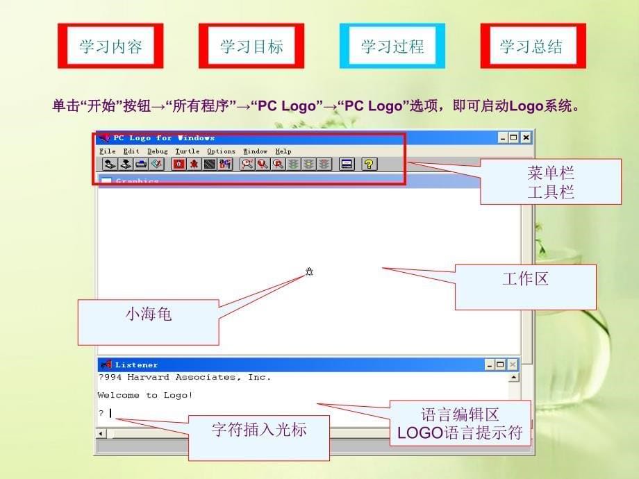 6第五课漫游海龟王国_第5页