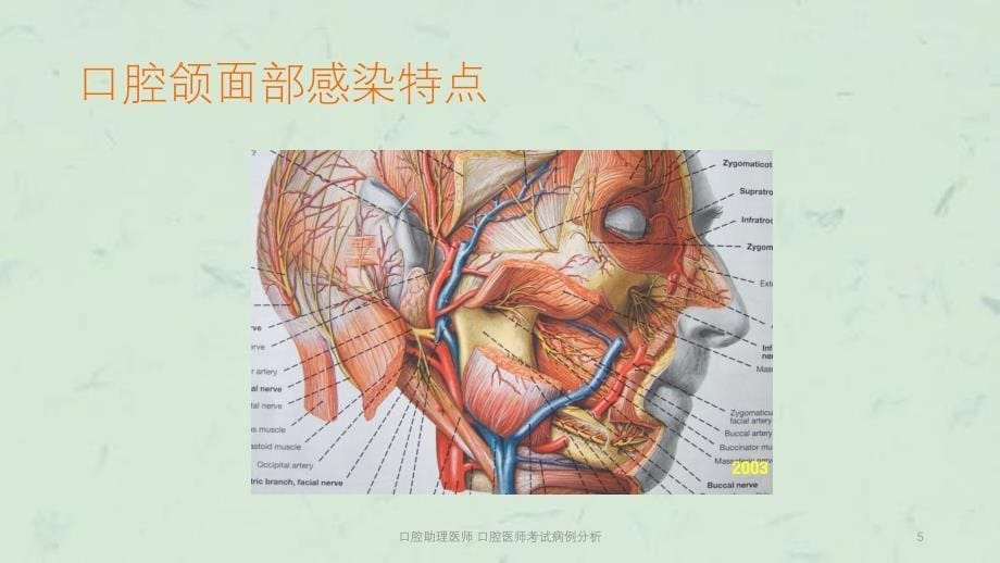 口腔助理医师口腔医师考试病例分析课件_第5页