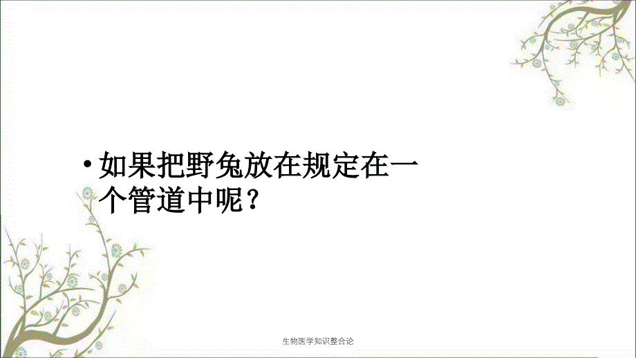 生物医学知识整合论_第3页