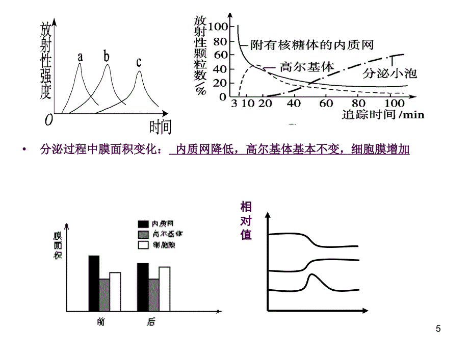 分泌蛋白相关知识点ppt课件_第4页