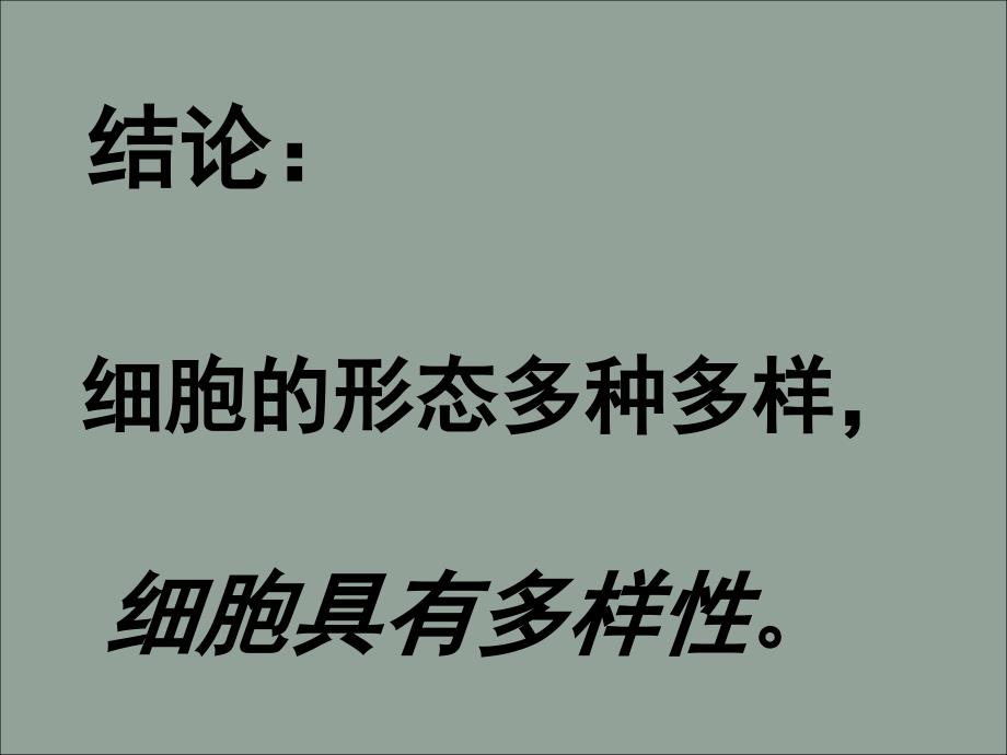 高中生物1.2 细胞的多样性和统一性　课件1人教版必修1_第2页