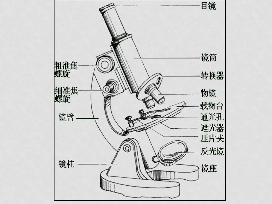 高中生物1.2 细胞的多样性和统一性　课件1人教版必修1_第3页