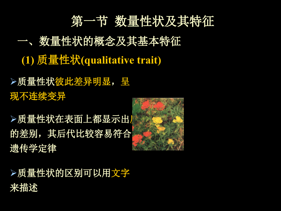 数量遗传分析幻灯片_第2页